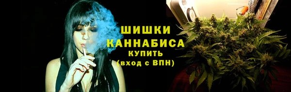 дживик Беломорск