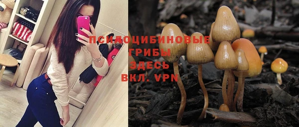 дживик Беломорск