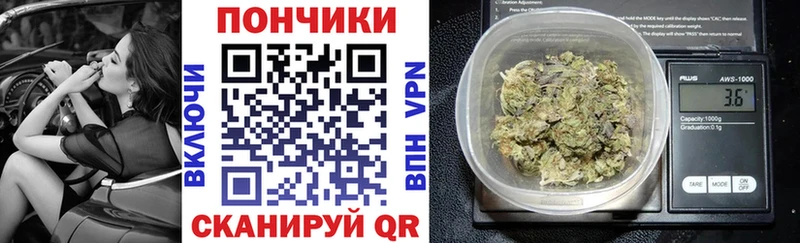 Конопля SATIVA & INDICA  дарк нет состав  Михайлов  где купить наркоту 